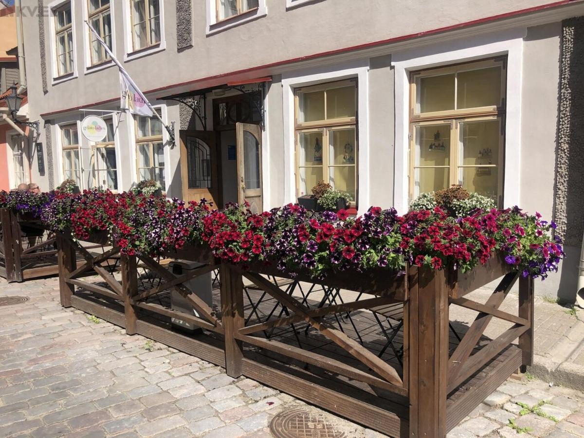 Old Town Apartment, Uus 28 ทาลลินน์ ภายนอก รูปภาพ